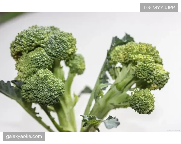 谷爱凌家的冰箱里真的只有西兰花和蛋白粉？